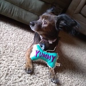 Meet your Posher, Brenna